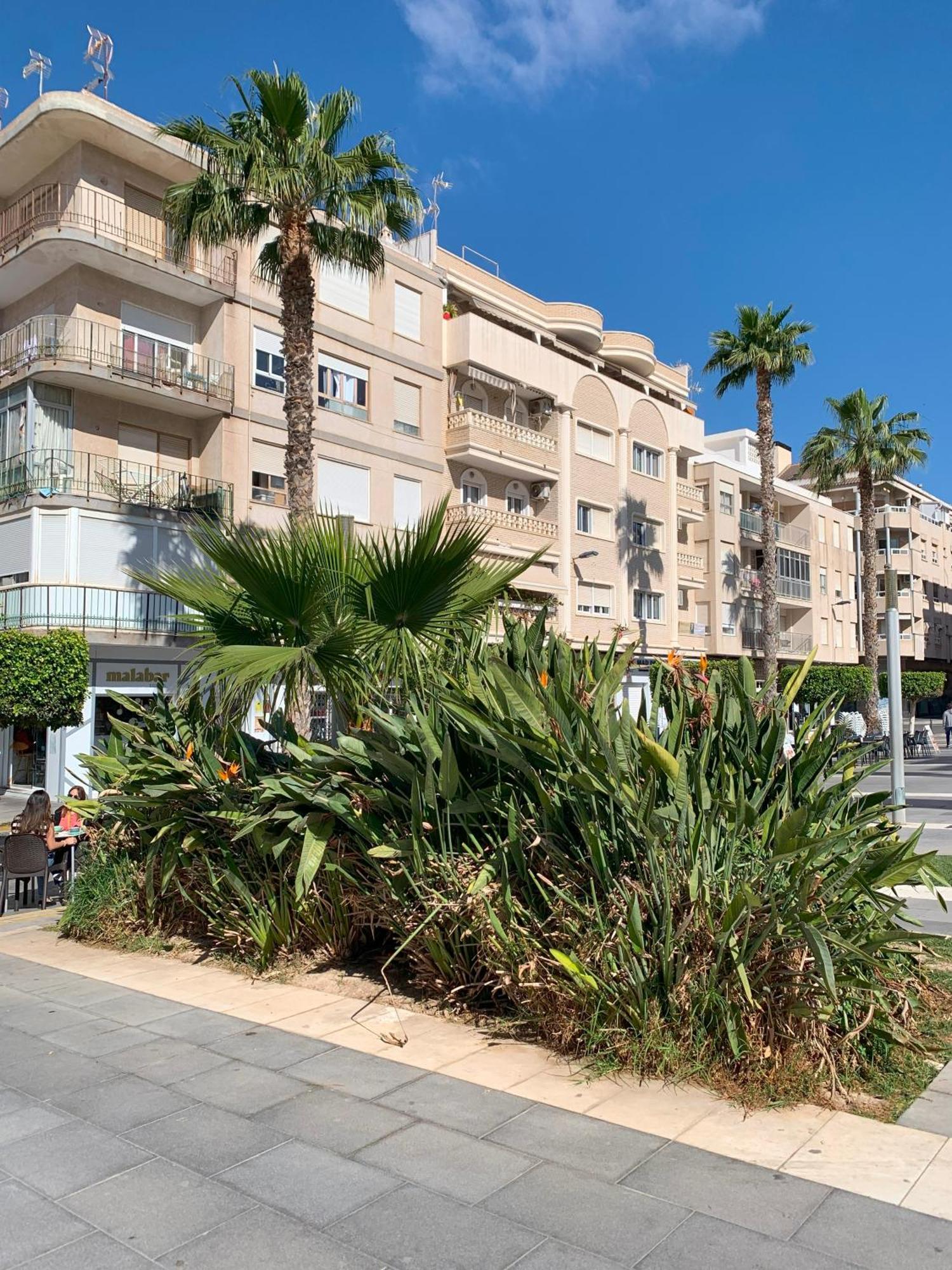 Princesa Blanka By Zanis Torrevieja Exterior photo